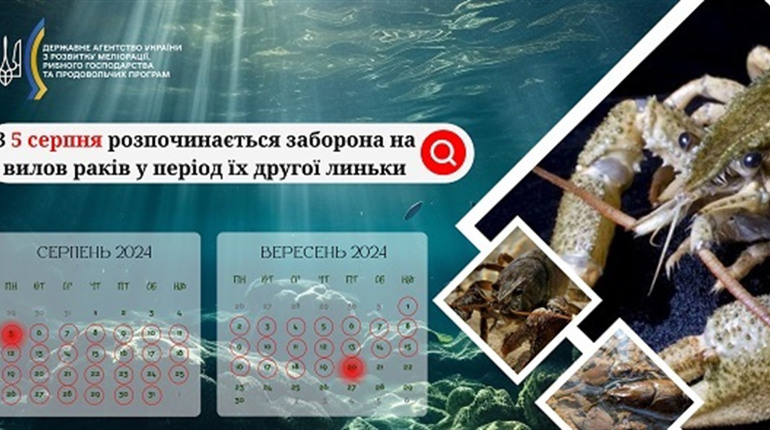 На Київщині з 5 серпня розпочинається заборона на вилов раків