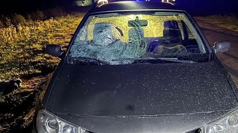 Дві аварії протягом однієї доби на Кременеччині: одна з летальними наслідками