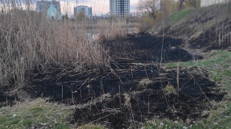 За підпал трави можна отримати реальні терміни ув'язнення та великі штрафи: якщо спрацює Закон