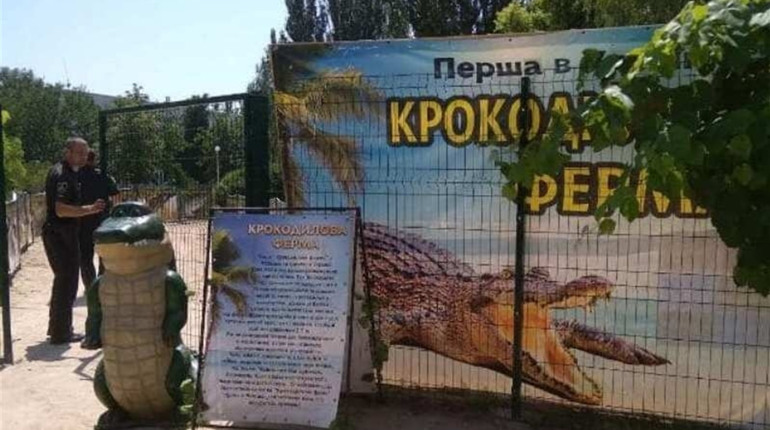 Чи справді на Арабатській Стрілці відкрилась крокодилова ферма?