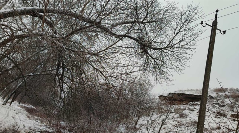 Обриви проводів, поламані опори