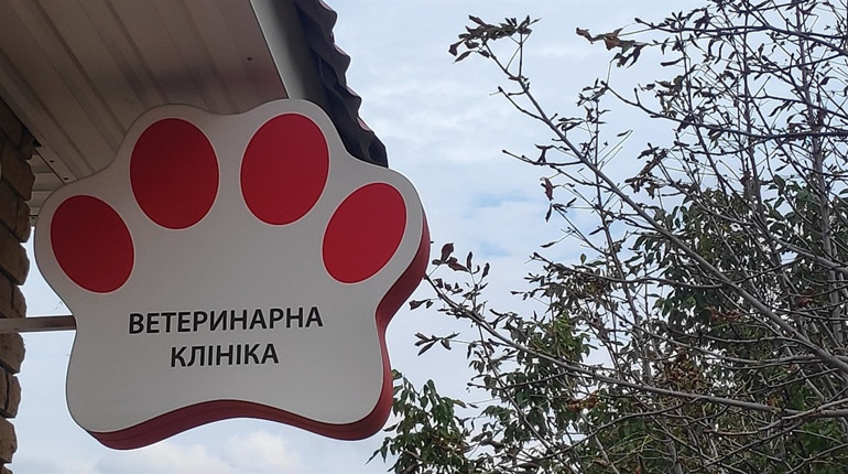 Ветеринарна клініка VetHome взяла участь у проєкті на підтримку чотирилапих України