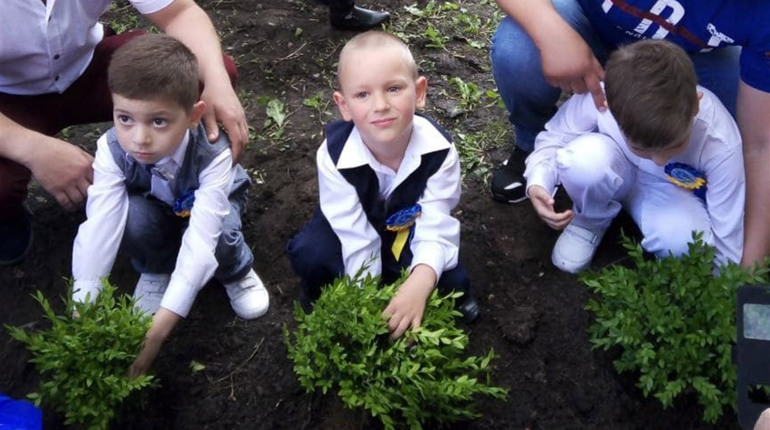 Самшит на згадку замість кульок в небо: випусники дитсадка посадили декоративні кущі