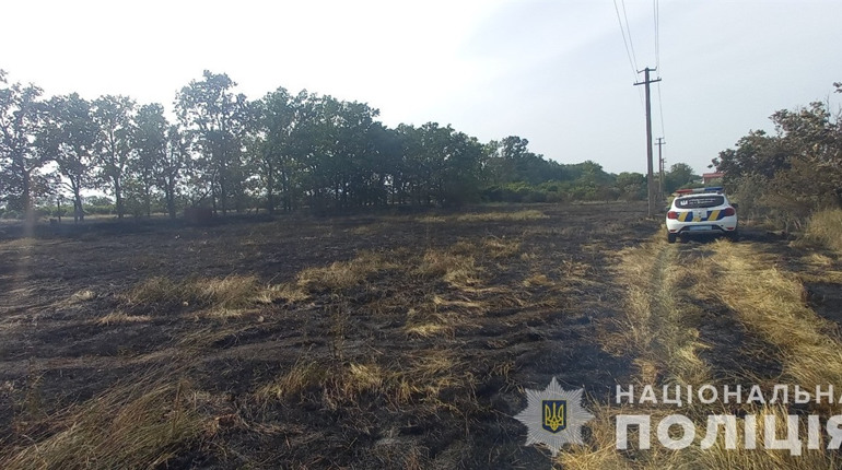 На Одещині затримали трьох чоловіків, які навмисне влаштували пожежі на сільгоспугіддях