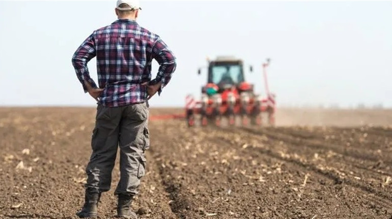 Підтримка для фермерів Біляївської громади: як отримати кошти на добрива, корми та техніку