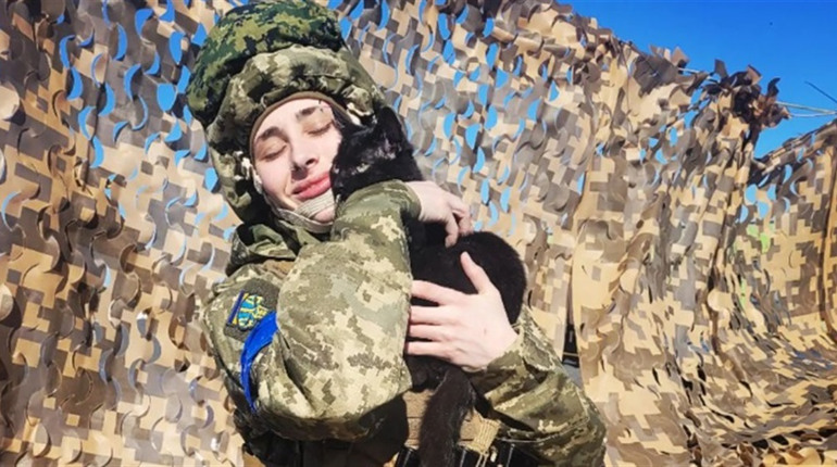 Парамедикиню побили на Фастівщині через зауваження щодо російської музики