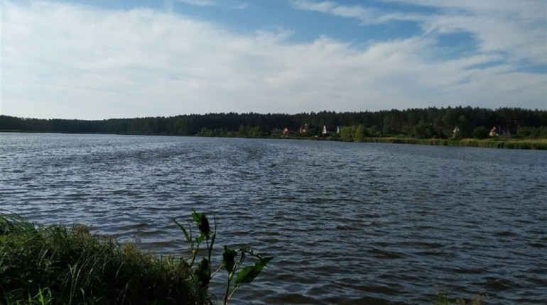 Купатися в Унаві не варто: стали відомі результати аналізів води з річки