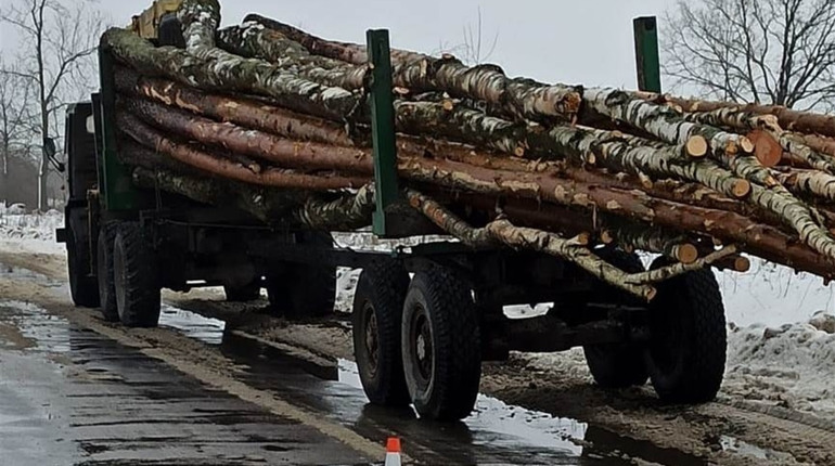 На Сарненщині під колесами лісовоза загинула велосипедистка