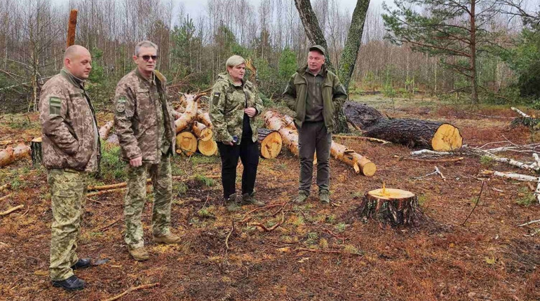 Селянський ліс чи нічий? Влада Вараського району ревізує проблемні лісові угіддя