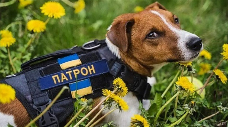 Росіяни можуть здійснювати атаки під чужим прапором біля Херсона: що це означає
