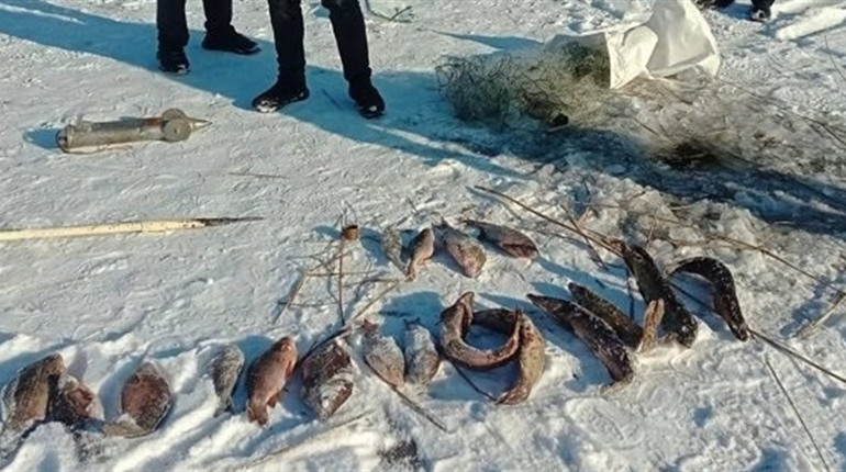 Браконьєр із Кременчука завдав збитків рибному господарству на 148 тисяч гривень