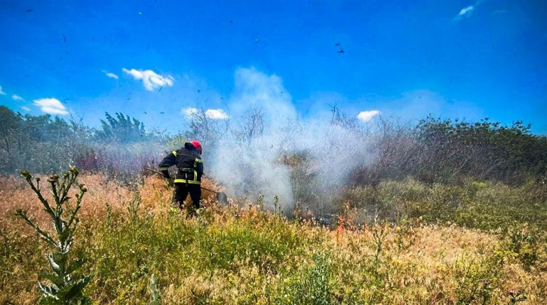 На вихідних очікується спека до +38 °C: у «Бузькому Гарді» оголошено пожежонебезпечний період