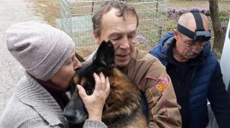 Команда UAnimals евакуювала собаку з Торецька. Як допомогти волонтерам, що рятують тварин від війни