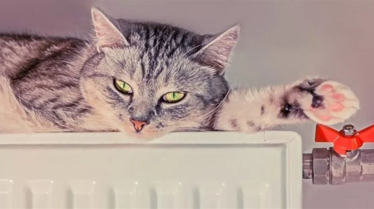 У Корюківці завершився опалювальний сезон і призупинив роботу міський автобус