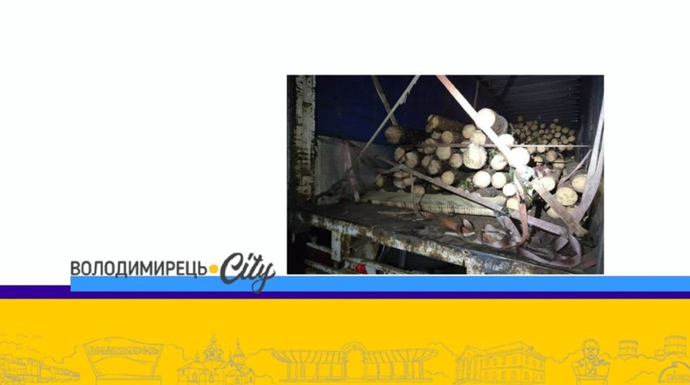 На Зарічненщині прикордонники зупинили авто із незаконною деревиною. У чому суть?