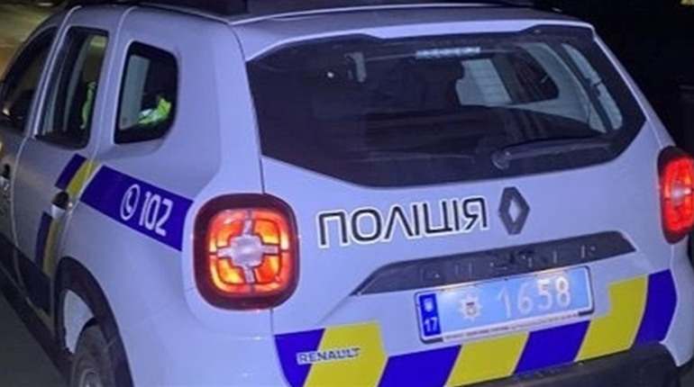 Поблизу села на Переяславщині сталося лобове зіткнення Audi і Tesla: хроніка поліції