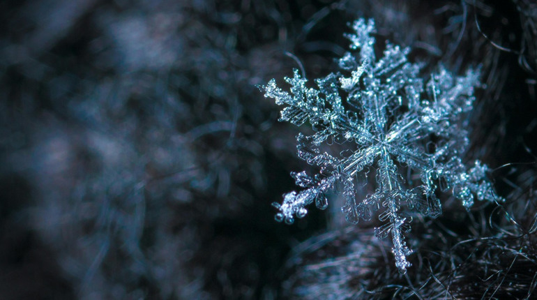 Гороскоп на тиждень з 19 по 26 січня 2026 року: що зірки нам приготували