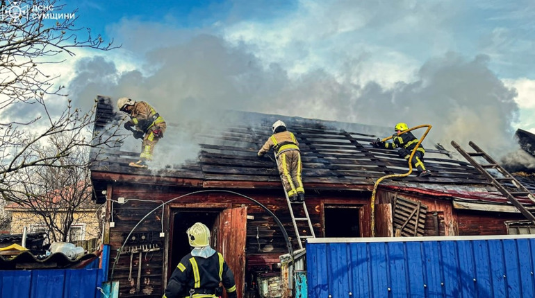 У селі Чапліївка рятувальники та аграрії разом приборкували вогонь (відео)