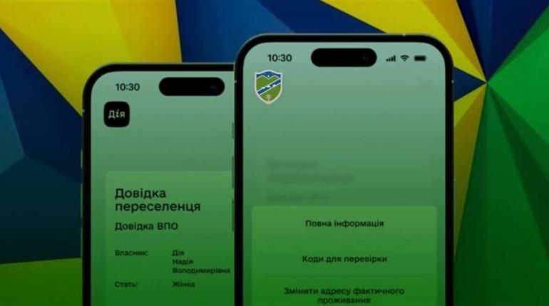 Як отримати довідку ВПО онлайн: пояснюємо на пальцях
