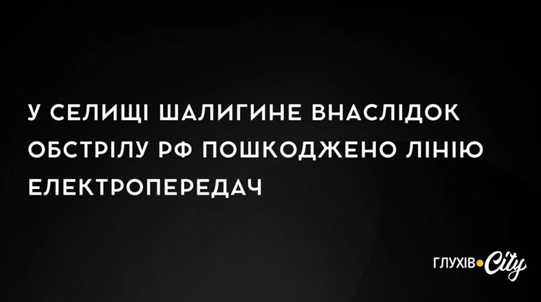 У селищі Шалигине внаслідок обстрілу рф пошкоджено лінію електропередач: наслідки за минулу добу