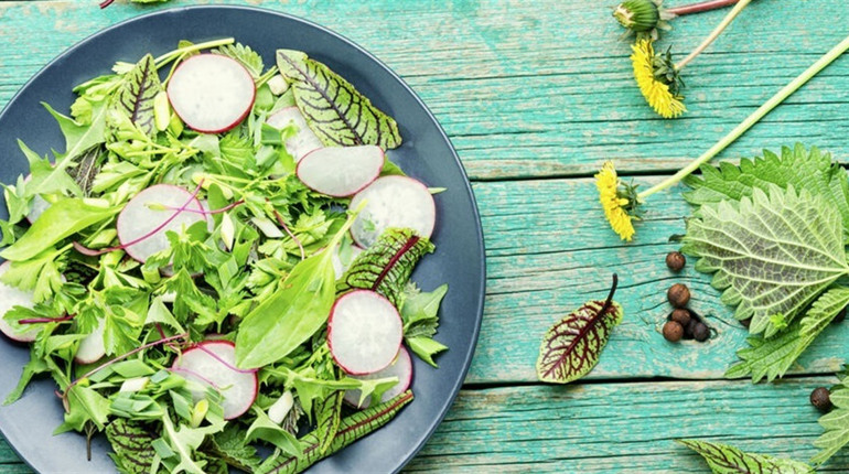 Що приготувати з першої зелені?