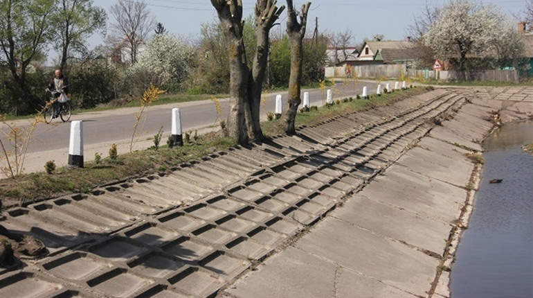  Двісті декоративних рослин та кущів висадили у Павлівці