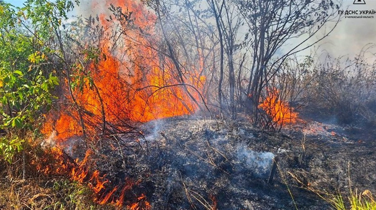 Рятувальники Черкащини 14 разів виїжджали на ліквідації пожеж на відкритих територіях
