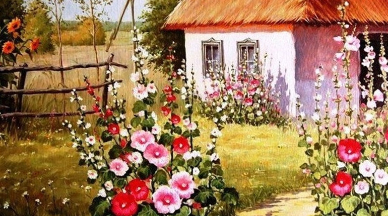 Квіткові пазли: збираємо мальви
