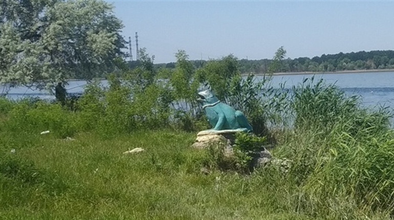 Рівень води в Дніпрі біля Нової Каховки впав