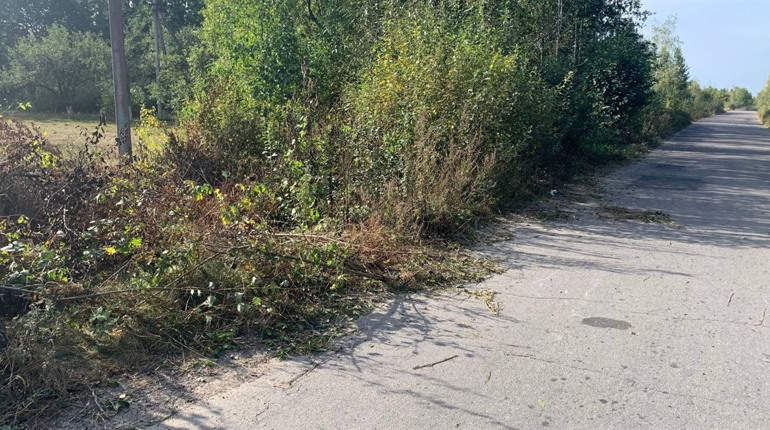 На Сарненщині троє хлопців напідпитку впали з мотоцикла