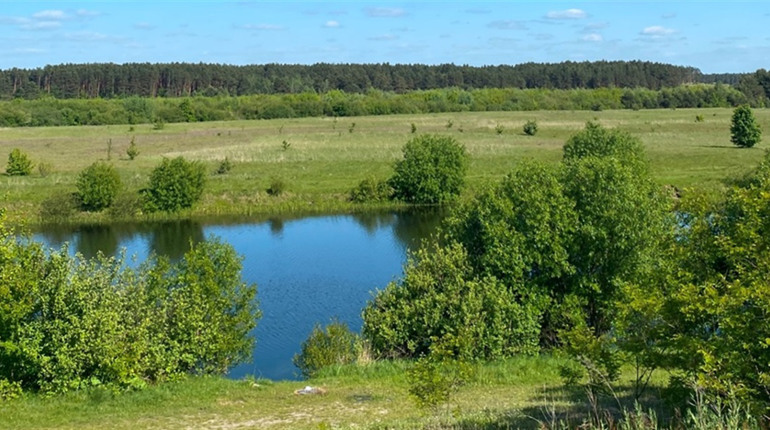У Сарненському районі перевірили популярні водойми: де купатися не варто