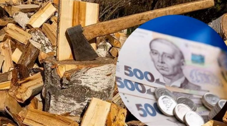 У Краснограді вирішили виділити матеріальну допомогу на придбання дров: хто отримає кошти