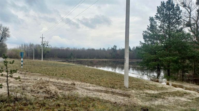 На Черкащині затопило понад 2 тисячі гектарів лісів, є загроза загибелі дерев