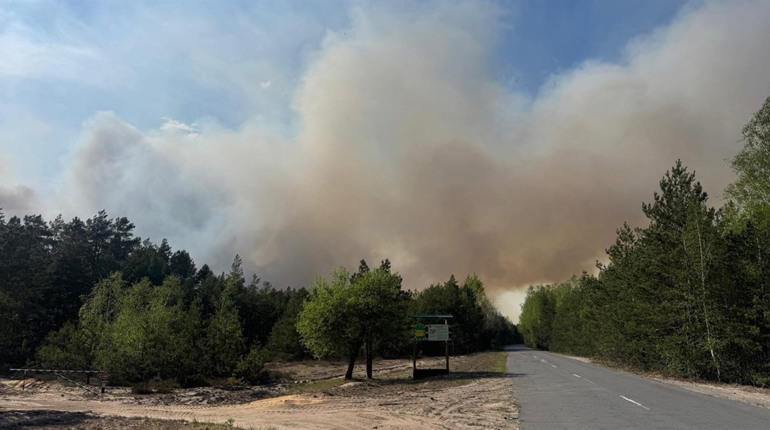На Сарненщині приборкали пожежу в лісі, яка дісталася заповідника