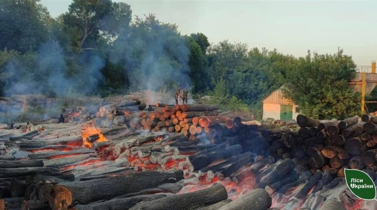 Внаслідок атаки дронами загорілась лісопродукція у Шосткинському районі