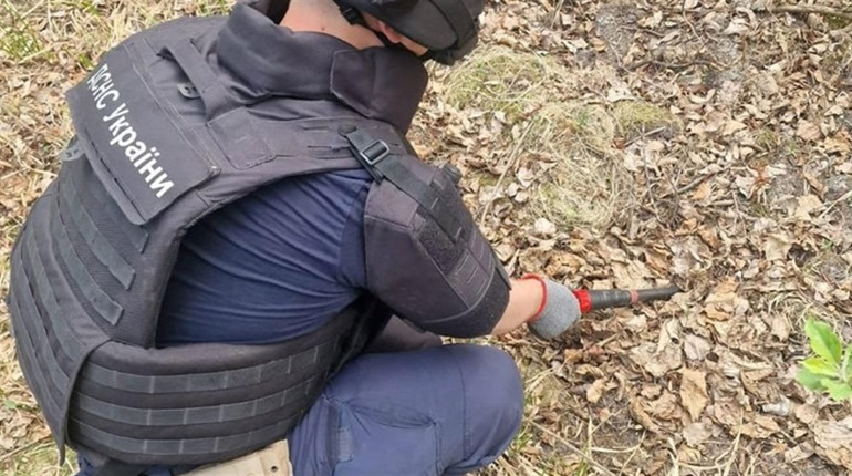 На Звягельщині знешкодили артснаряд, які знайшли поблизу с. Колодянка