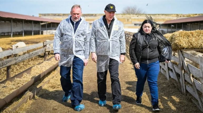 Зрадник Сальдо розмріявся про виробництво молока в Асканії-Новій