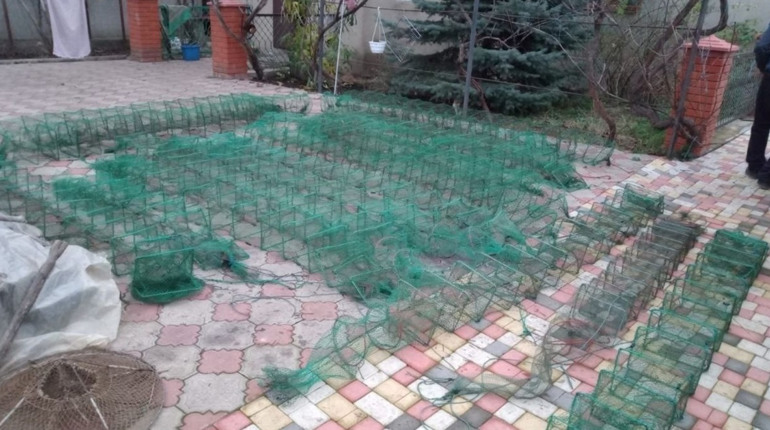 Незаконний вилов риби, раків на Турунчуку та розпалений вогонь: інспектори зафіксували порушення