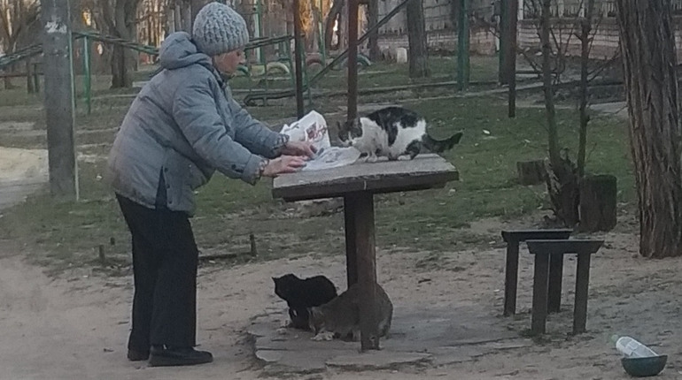 Що буде з пенсіями в травні