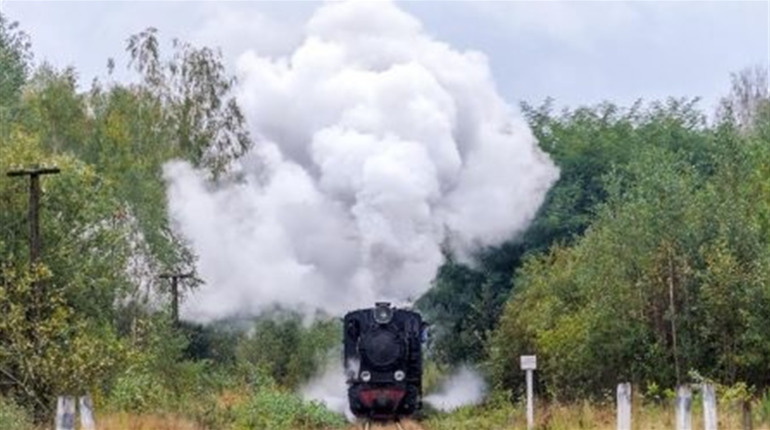 Оперативна інформація по коронавірусу у Володимирецькому районі: хворих немає, 350 на самоізоляції 