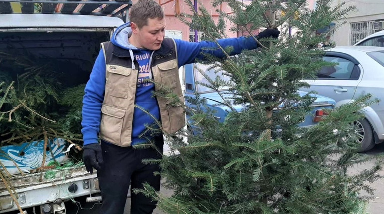 Виконком: у Біляївці в лікарні з’явились нові платні послуги. Визначили місця торгівлі ялинками