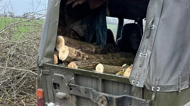 Держекоінспекція затримала чоловіка, який зрубав 16 кленів у лісосмузі Запорізького району