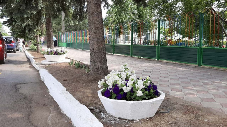 Кому не подобаються квіти біля дитсадка "Веселка": ви могли їх бачити