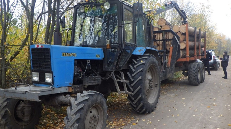 У Сарненському районі зупинили трактор із нелегальною деревиною