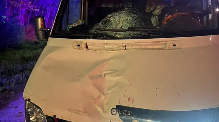 У Новому Киселеві у ДТП загинула жінка