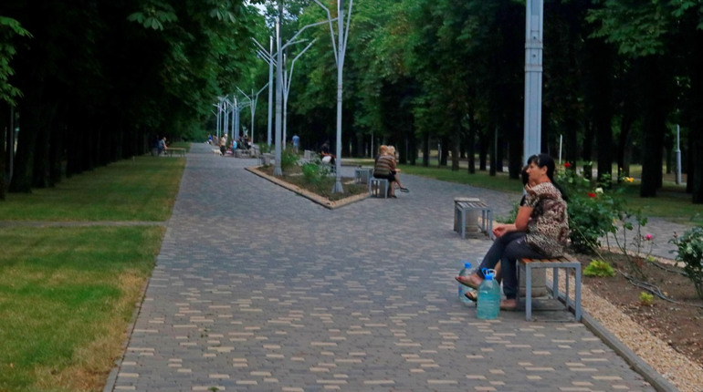 Фото дня: як квітнуть нікопольські троянди на Каштановій алеї