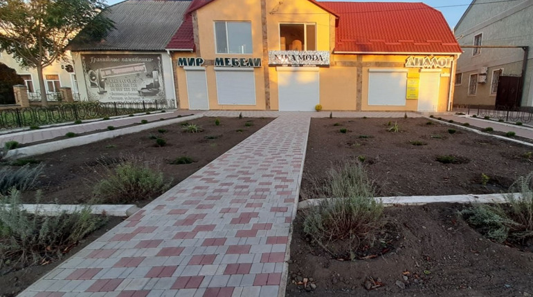 Будуть під наглядом камер: підприємство "Діалог" на місце вкрадених знову посадили декоративні кущі