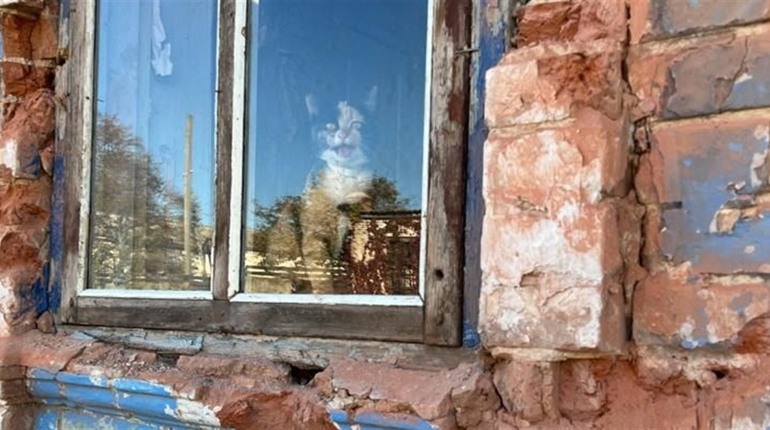 На Сумщині під час ракетного удару загинув чоловік