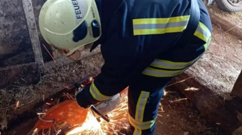Рятувальники 1,5 години звільняли корову, що провалилася в погріб на Житомирщині