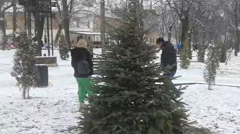 На Алеї героїв в Умані висадили ялину блакитну в пам'ять про загиблого азовця Михайла Ніконця